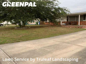 Grass Cut nearby Bradenton, FL, 