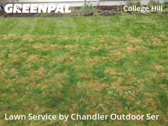 Lawn Maintenance in Eugene, 97405, Garden Trimming by Chandler Outdoor Ser, work completed in Dec , 2025