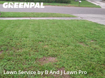 Lawn Mowing nearby Tampa, FL, 
