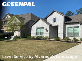 Lawn Mowingin Porter,77365,Lawn Maintenance by Alvarado's Landscape, work completed in Nov , 2025