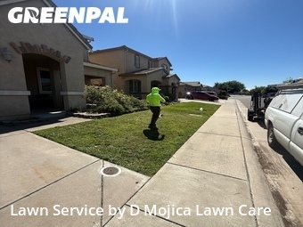 Lawn Maintenance nearby Elk Grove, CA, 