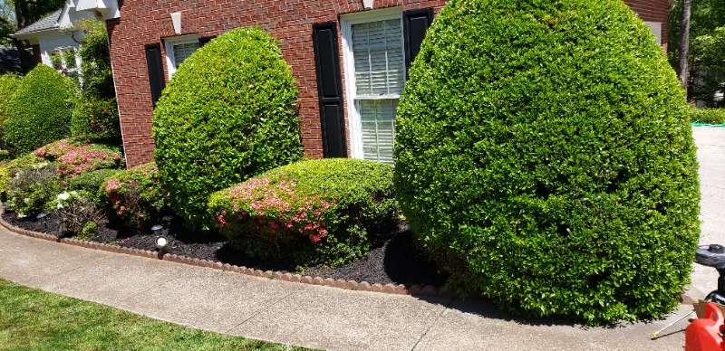 Yard mowing company in Atlanta, GA, 30311