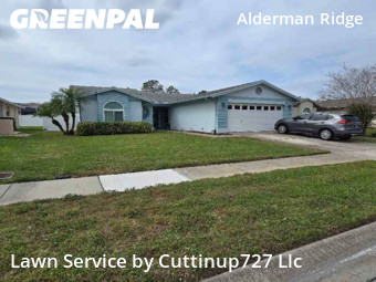 Grass Cutting nearby Palm Harbor, FL, 