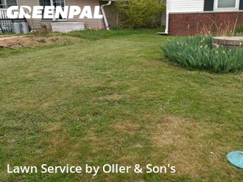 Grass Cut nearby Springfield, IL, 