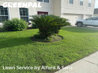 Lawn Mow nearby Newberry, FL, 