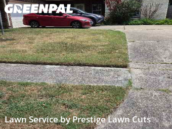 Lawn Cut nearby Spring, TX, 