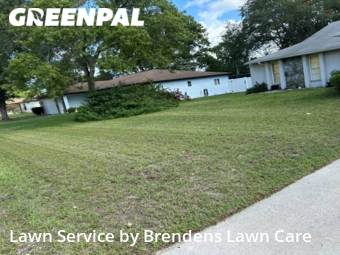 Lawn Cutting nearby Spring Hill, FL, 