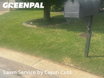 Affordable Landscaping Maintenance Services In Murfreesboro,37128,Landscaping by Cajun Cuts, work completed in Jun , 2026