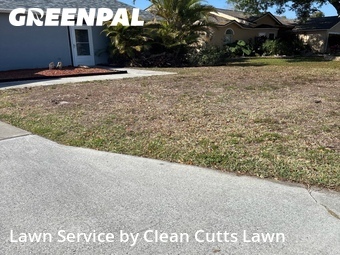 Lawn Mowing Service nearby Palmetto, FL, 
