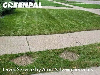 Grass Cut nearby Dearborn, MI, 