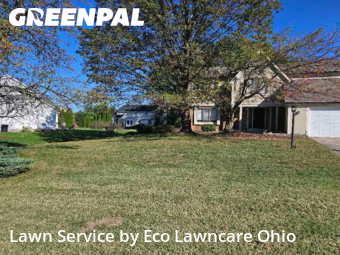 Lawn Maintenance in Pickerington, 43147, Yard Upkeep by Eco Lawncare Ohio, work completed in Nov , 2025
