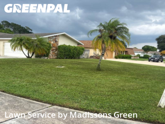 Lawn Management in Royal Palm Beach, 33411, Lawn Upkeep by Madissons Green, work completed in Nov , 2025