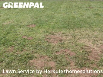 Work completed by grass-trimming-service-in in El Cajon, CA