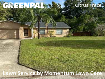 Grass Cutin Wesley Chapel,33545,Grass Cut by Momentum Lawn Care, work completed in Nov , 2025