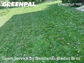 Lawn Cut nearby Philadelphia, PA, 