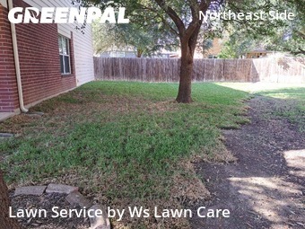Lawn Cut nearby Schertz, TX, 