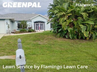 Lawn Cutting nearby Cape Coral, FL, 