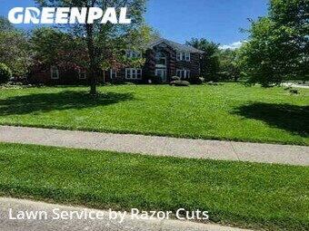 Lawn Mow nearby Indianapolis, IN, 