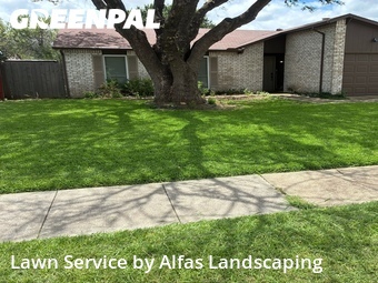 Lawn Care Servicein The Colony,75056,Grass Cutting by Alfas Landscaping, work completed in Jun , 2026