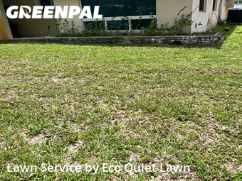 Lawn Care nearby Plantation, FL, 