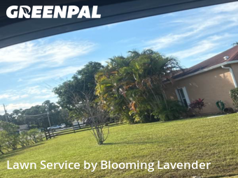 Landscaper In Port St. Lucie,34986,Landscaping Cleanup by Blooming Lavender, work completed in Nov , 2025