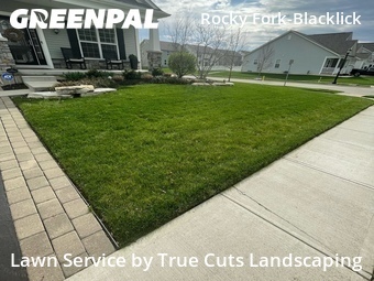 Yard Mowing nearby Westerville, FL, 