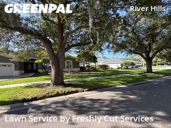 Lawn Service nearby Valrico, FL, 