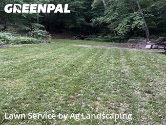 Lawn mowed in Bristol, 6010
