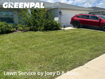 Lawn Mowing nearby Lakeland, FL, 