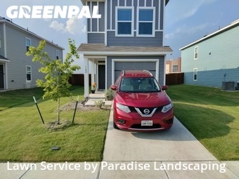 Lawn Mow nearby Princeton, TX, 