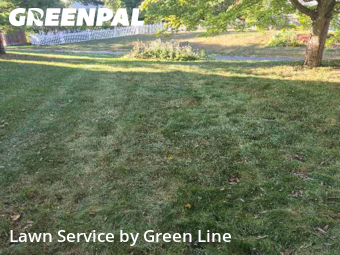 Lawn Mow nearby Naperville, IL, 
