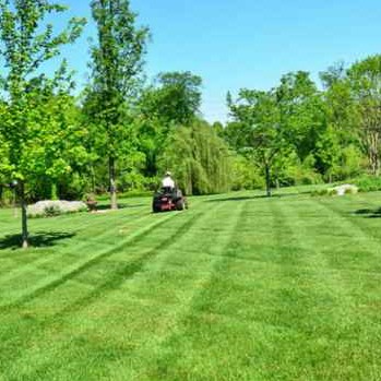 Yard mowing company in Port Charlotte, FL, 33953