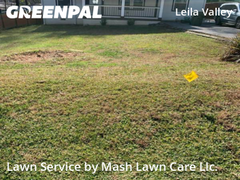 Modern Landscaping In Atlanta,30315,Landscaping Renovation by Mash Lawn Care Llc. , work completed in Dec , 2025