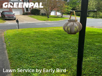 Yard Cutting nearby Charlotte, NC, 