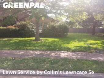 Grass Cut nearby Buda, TX, 