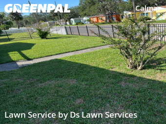 Lawn Maintenance nearby Daytona Beach, FL, 