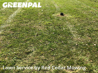 Grass Cutting nearby Lansing, MI, 