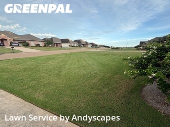 Lawn mowed in Madison, 39110
