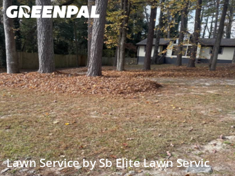 Lawn Maintenance nearby Snellville, GA, 