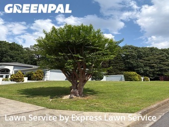 Lawn Care Service nearby Duluth, GA, 