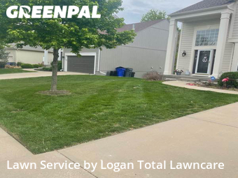 Lawn Cut nearby Lenexa, KS, 