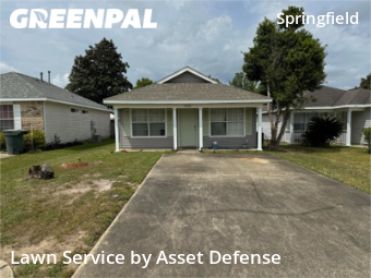 Grass Cutting nearby Bellview, FL, 