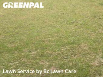 Lawn Cut nearby Raleigh, NC, 