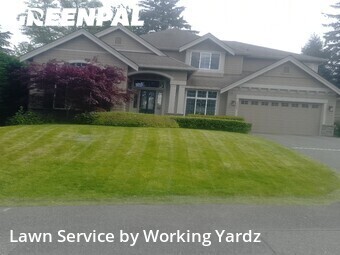 Lawn Carein Bellevue,98004,Lawn Maintenance by Working Yardz, work completed in Jun , 2026