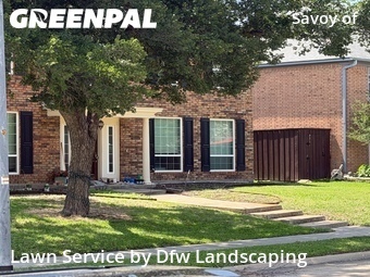 Lawn Cut nearby Carrollton, TX, 