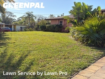 Yard Cutting nearby Englewood, FL, 