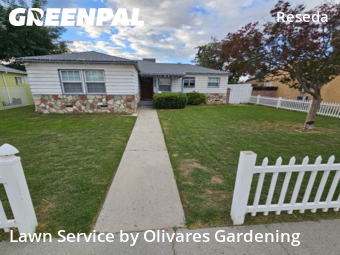 Backyard Landscaping In Los Angeles,91335,Landscaping Services by Olivares Gardening , work completed in Nov , 2025