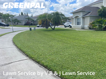 Lawn Mowing Service nearby Trinity, FL, 