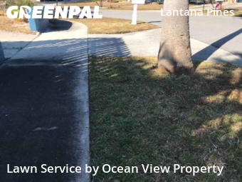Lawn Care Service nearby Lantana, FL, 