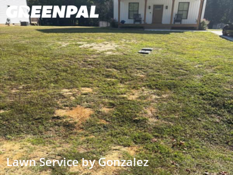 Lawn Cutting nearby Four Oaks, NC, 